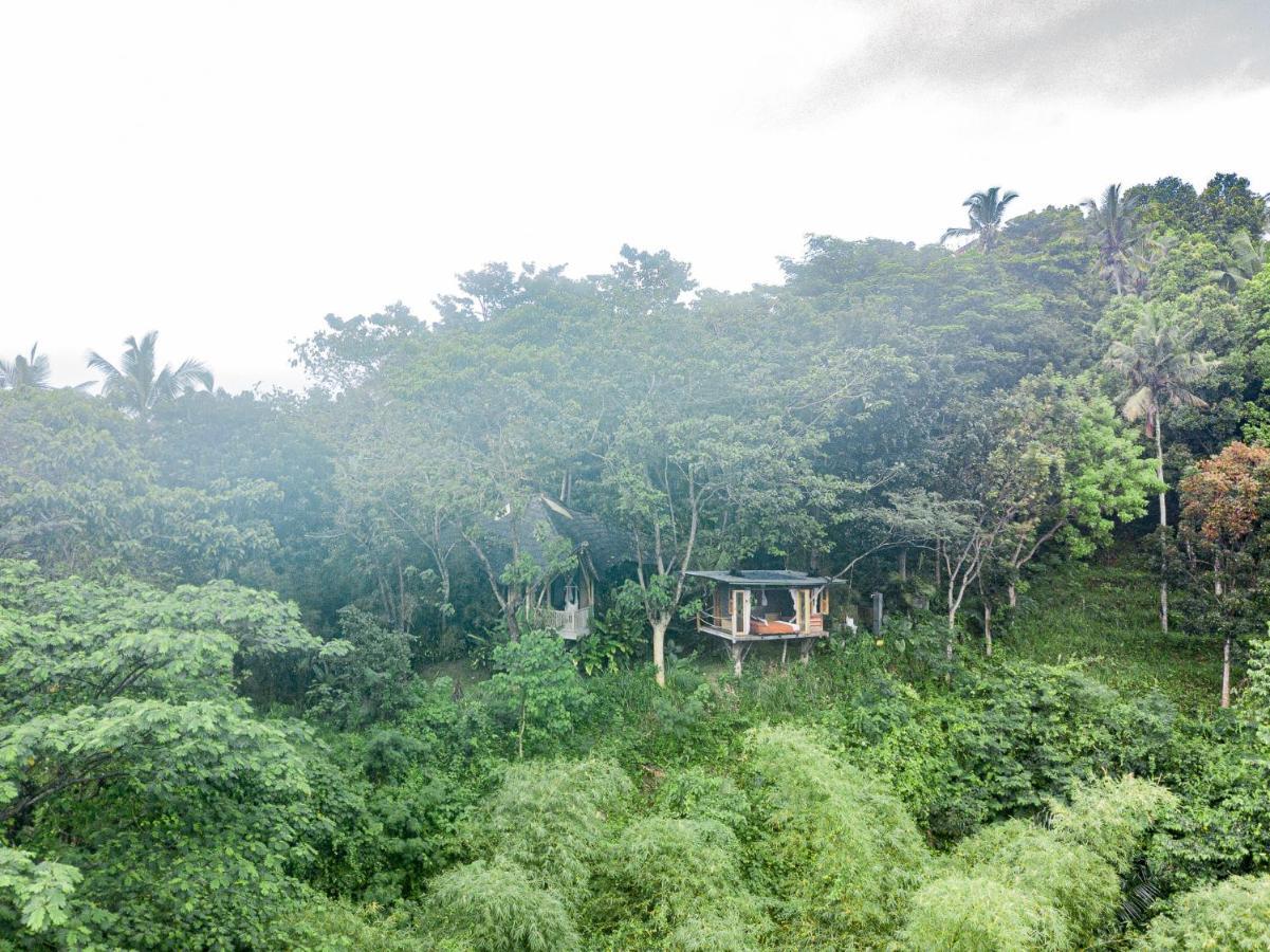 Willa Bird Hills Bamboo House Karangasem Zewnętrze zdjęcie